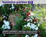 CN24 | GAMBARIE D'ASPROMONTE |  Strade agroalimentari del gusto per lo Slow Food Area Grecanica