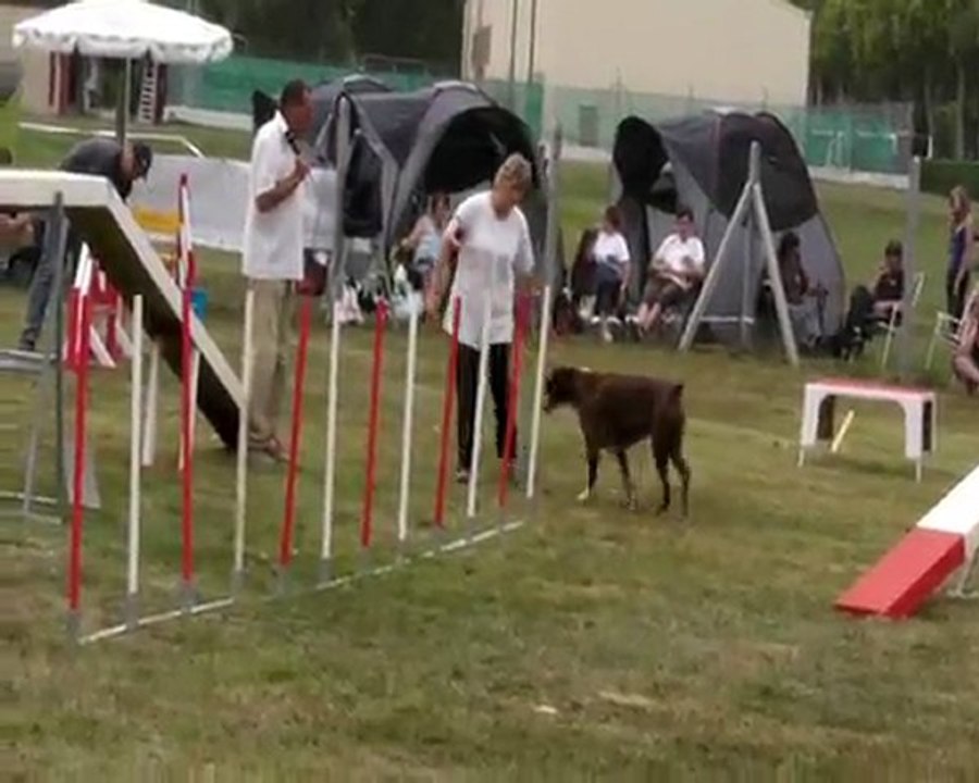 UPSY Mousquetaires 2011