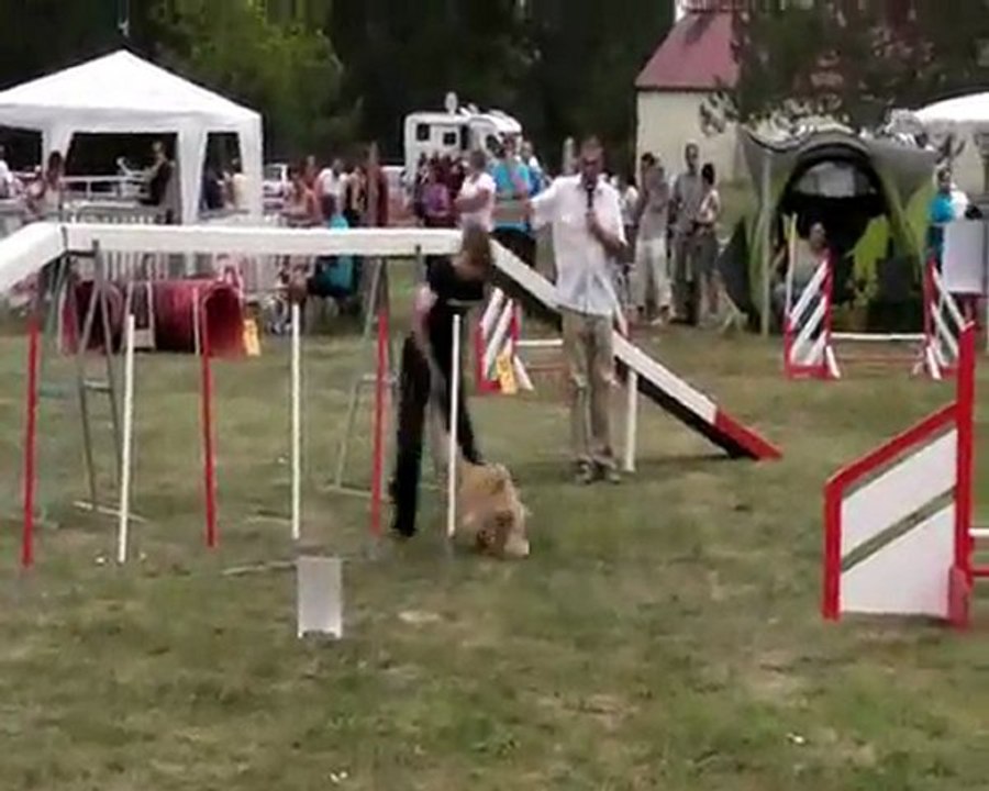 BETTY Mousquetaires 2011