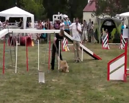 BETTY Mousquetaires 2011