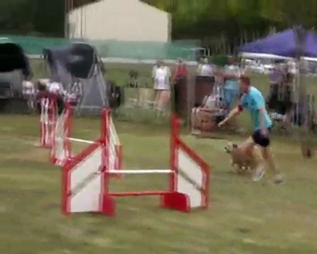 VOLNA Mousquetaires 2011