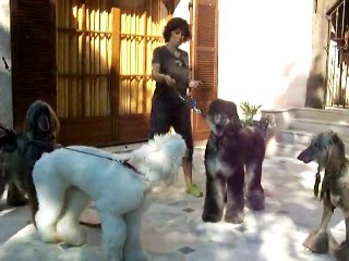 les retrouvailles septembre 2011