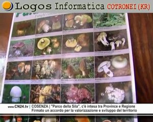 CN24 | COSENZA | "Parco della Sila", c'è intesa tra Province e Regione