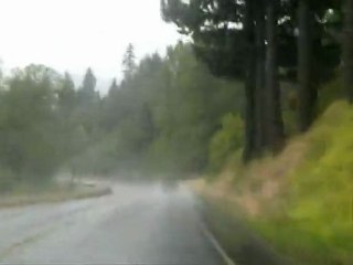 Washinton Rain