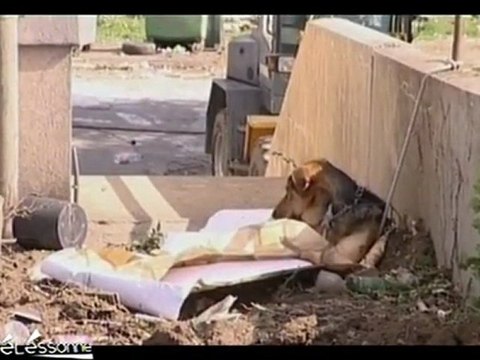 Expulsion de Roms à Viry-Châtillon