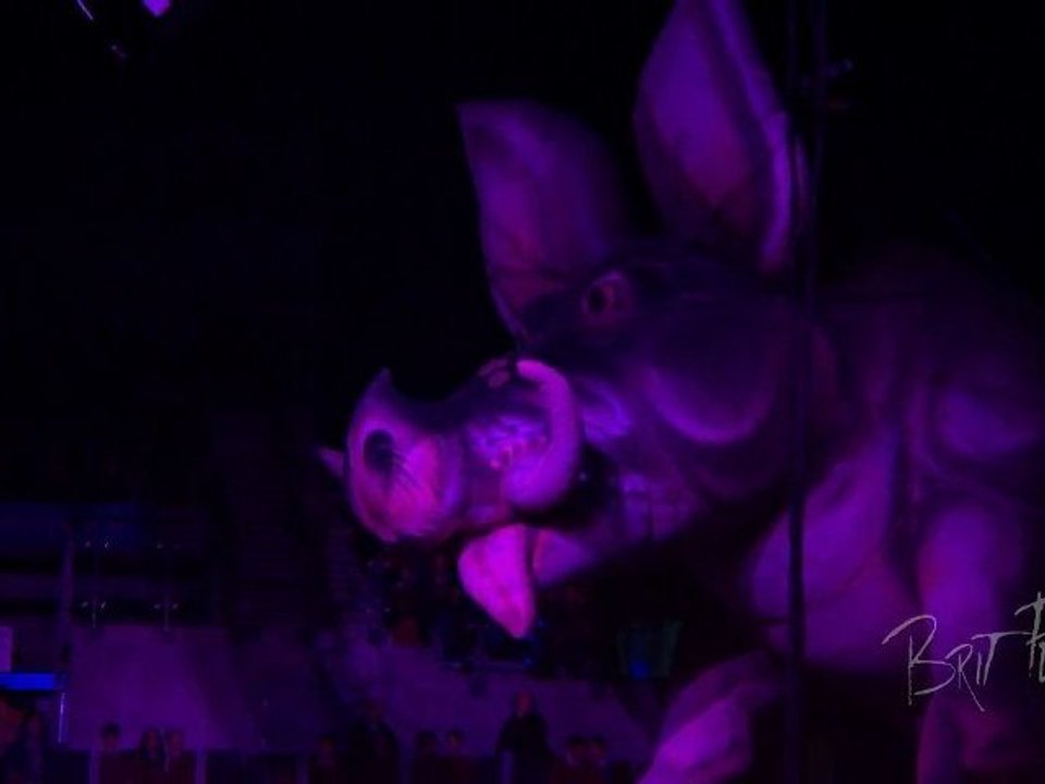 "Pigs (Three Different Ones)" performed by Brit Floyd - the Pink Floyd tribute show