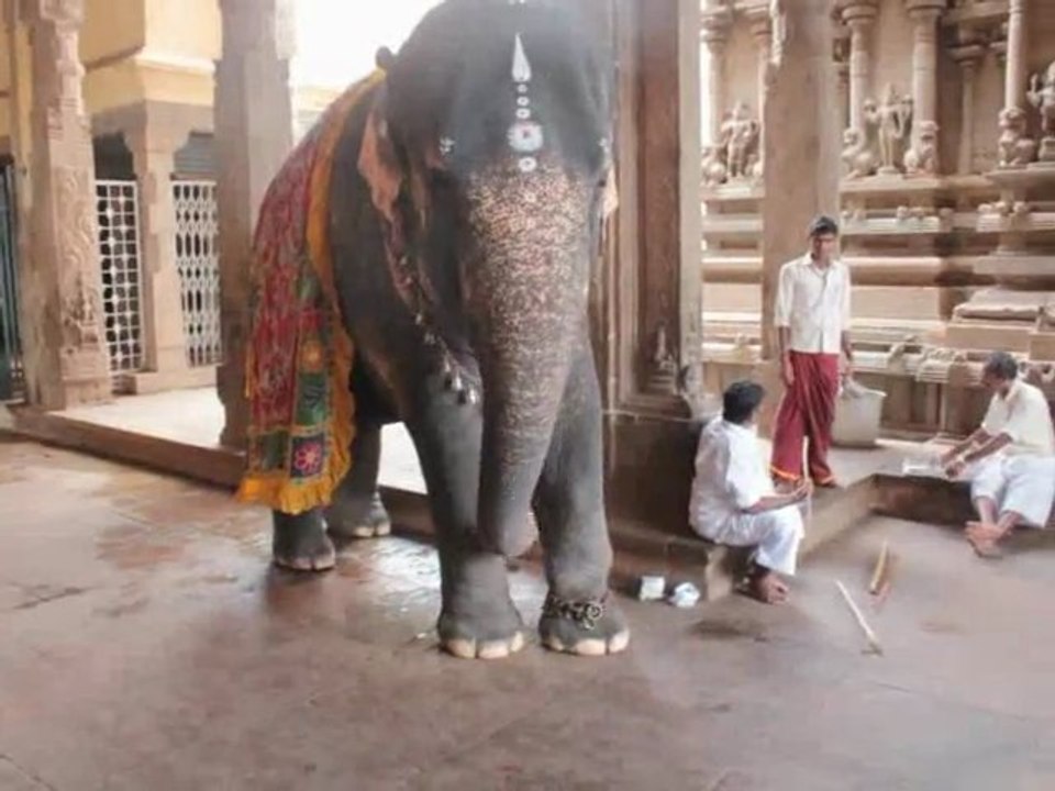 Voyage Inde  Aout  2011