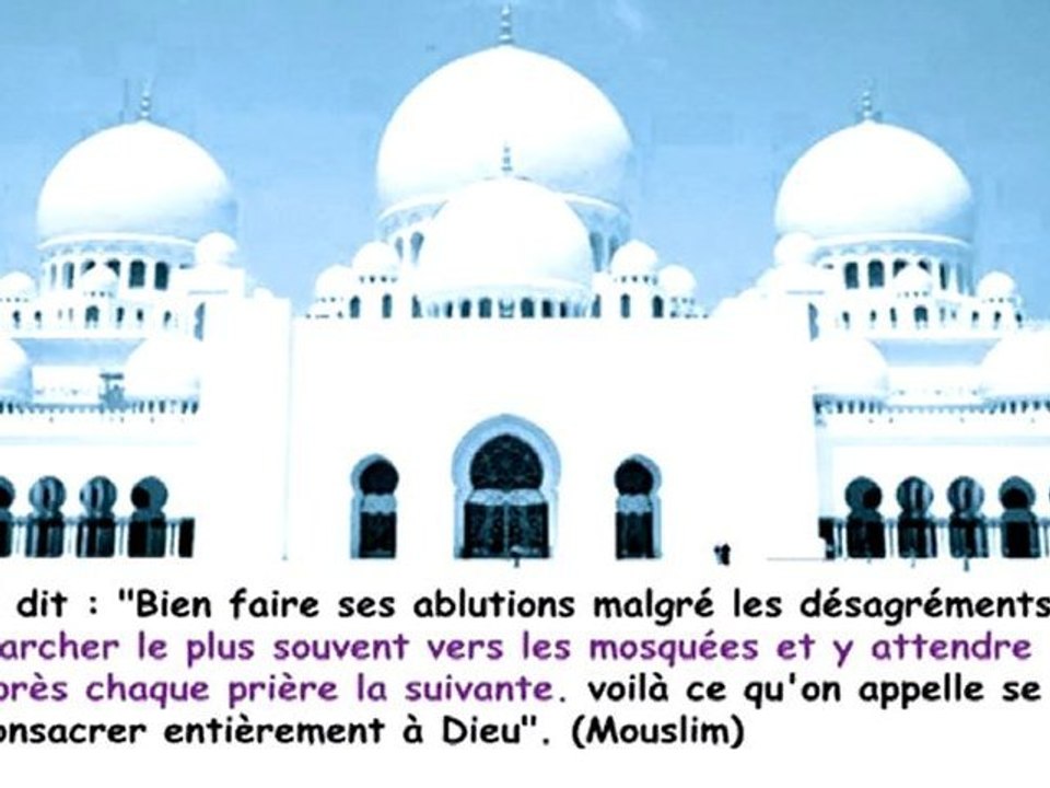 LE MERITE DES MOSQUEES