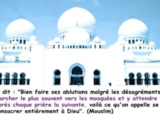 LE MERITE DES MOSQUEES