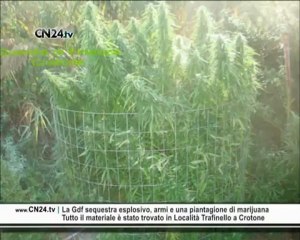 CN24 | La Gdf sequestra esplosivo, armi e una piantagione di marijuana