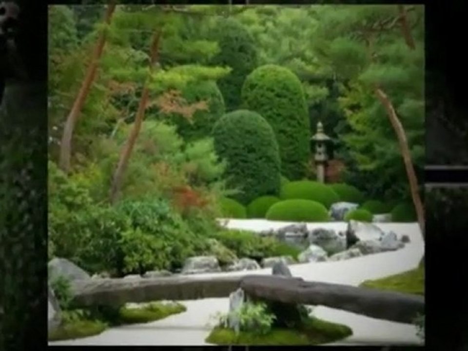 Saffron Walden Tree Surgery - Treetops Works and Services