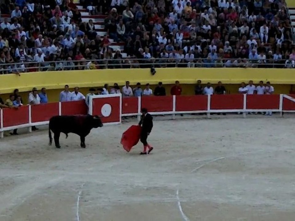 Javier Conde sous un air de Flamenco