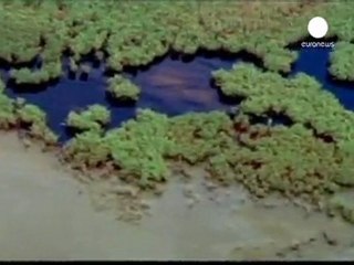 Meksika Körfezi'ndeki facianın faturası BP'ye kesildi