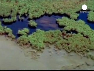 EEUU culpa a BP de la marea negra en el Golfo de México