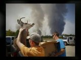 wildfires in west texas where wildfires are known to cause wildfire disaster | disaster relief needed in west texas for wildfires