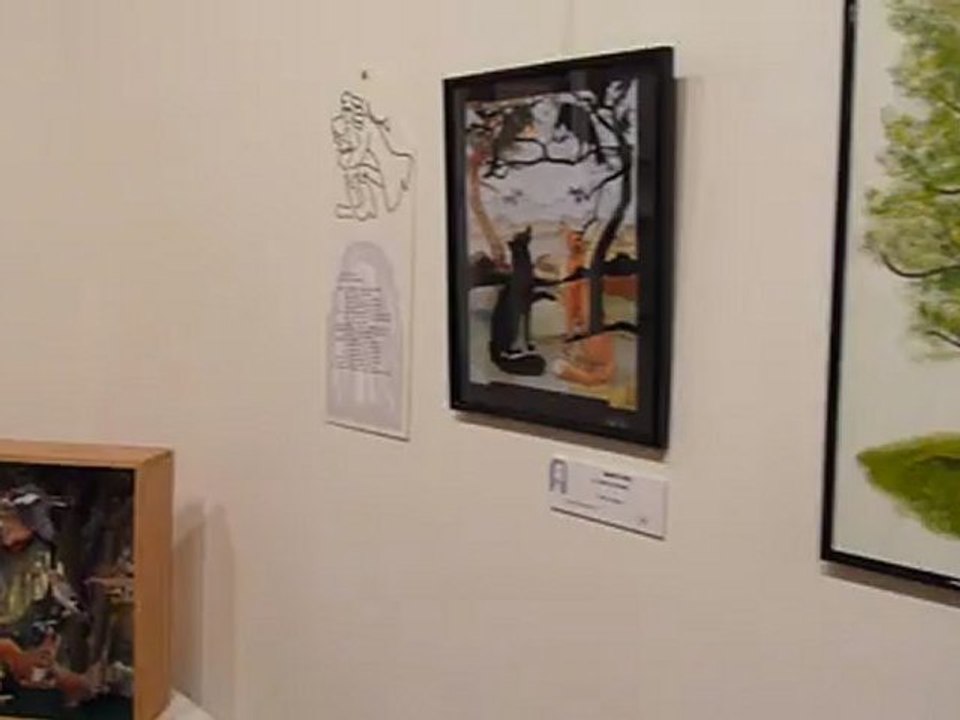 Exposició de Jean Lafontaine a Sant Celoni 6