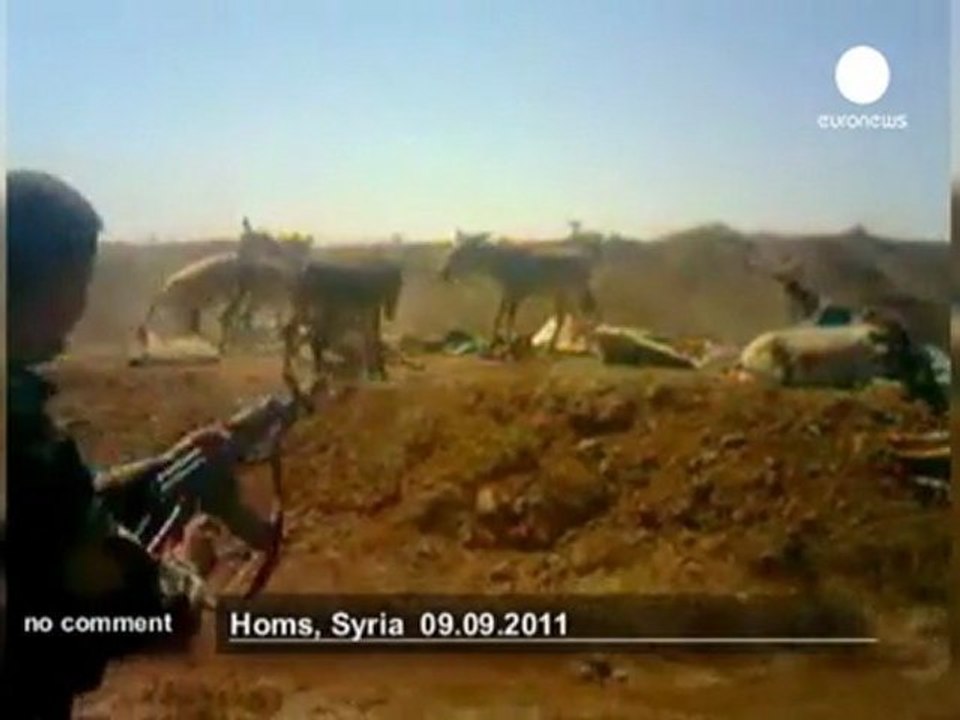 Donkeys execution in Syria - no comment