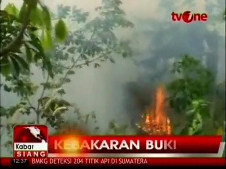 Forest fires spark smog crisis