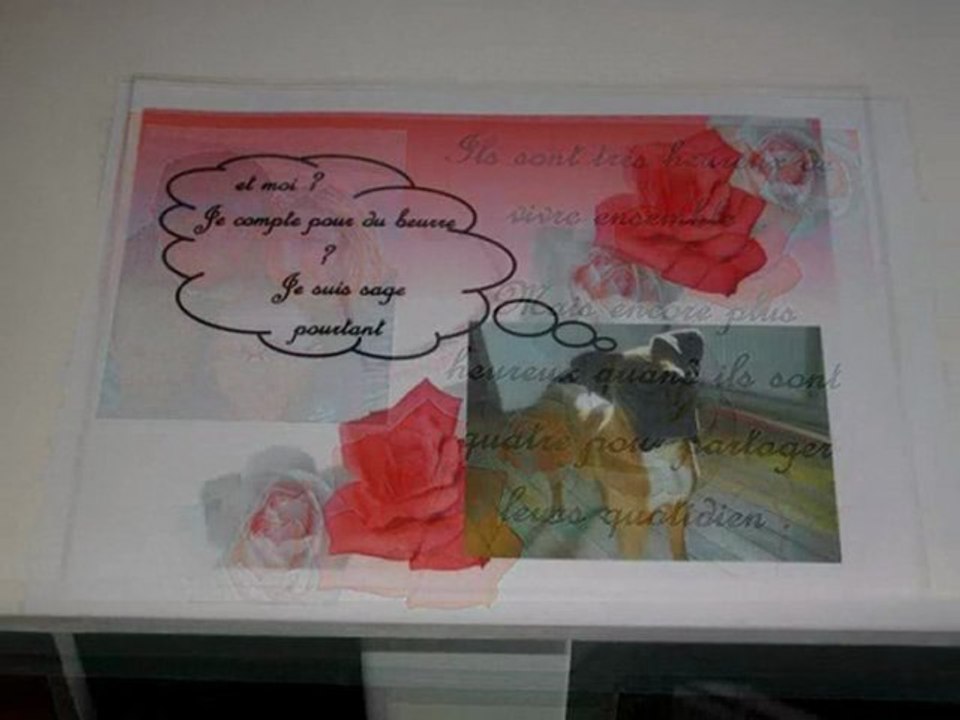 flashback de notre histoire