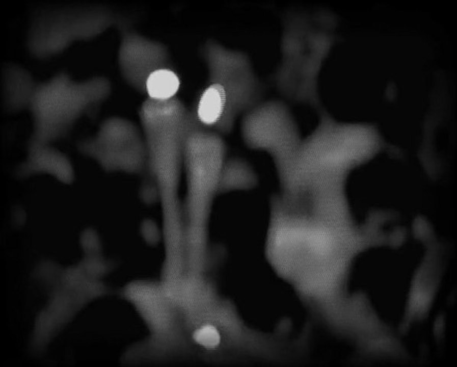 Anuncio : Procession reliques de Sainte Thérèse 2/2