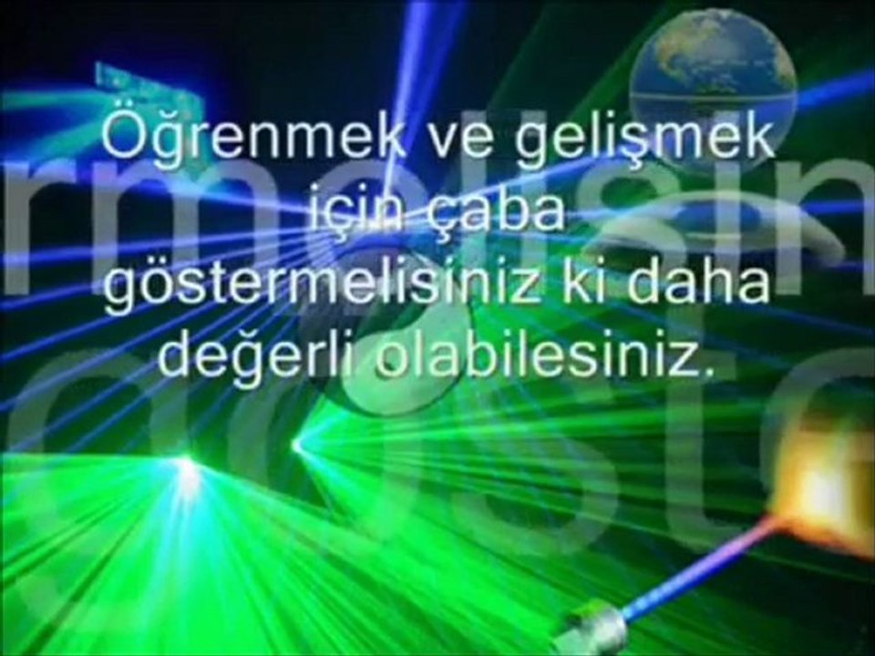Japon Sazan Balığı