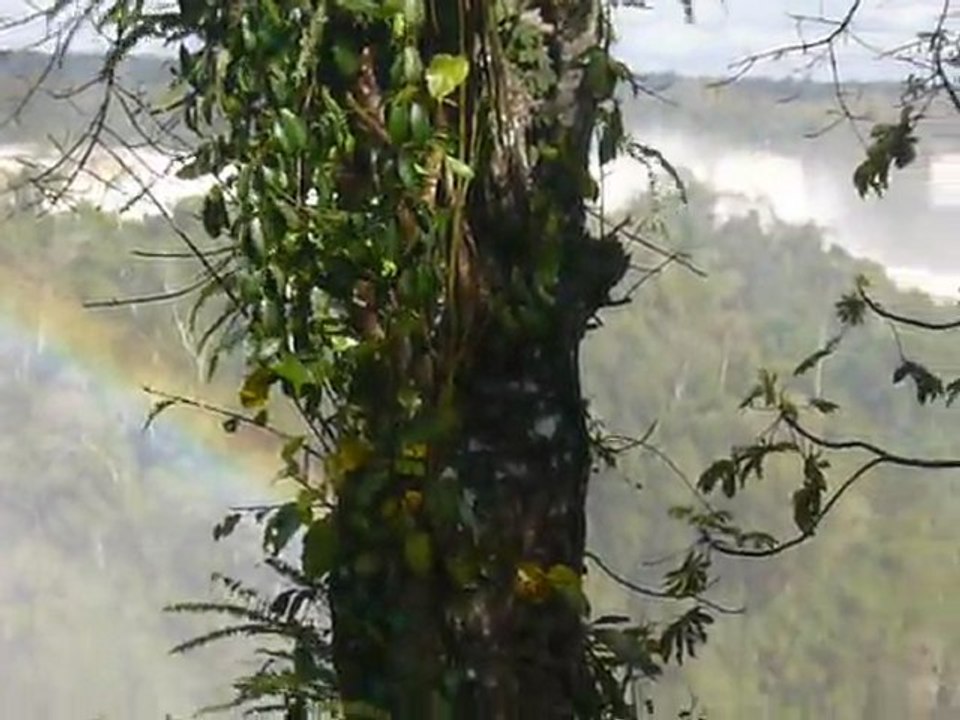 1_ Chutes d'Iguaçu avec arc-en-ciel, coté Brésil