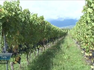 Vues sur l'Actu du 15 septembre 2011