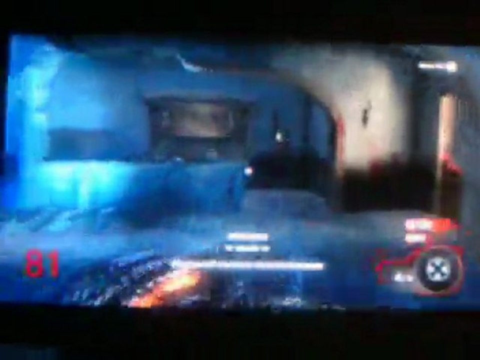 Kino 81