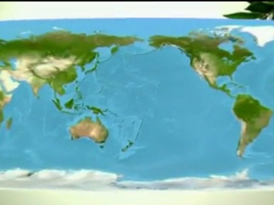 Capitales du Pacifique - L'île de Pâques