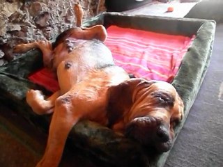 L'essayer,... c'est l'adopter ;-))