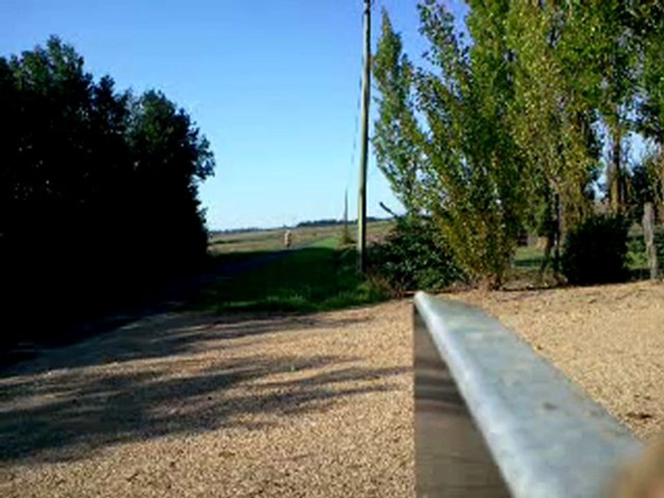 Derbi drd Limited Black & White