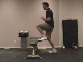 BodyWeight Step Ups Alternating