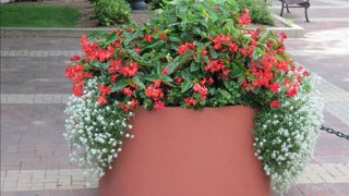 Concrete Planters | Doty & Sons Concrete Products, Inc. | Precast Concrete Planters