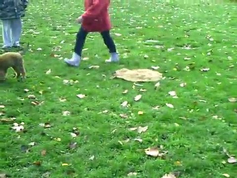 Frac'k Des Gardiens d'Athéna en apprentissage du tapis par le Clicker