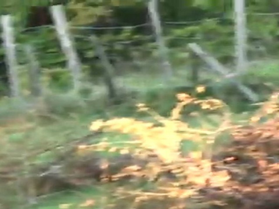 opel kadett c gte gr2 limonest 2011 numero 324 ( vh)