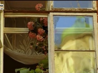 Ukraine: Altstadt von Lwiw (dt. Lemberg)