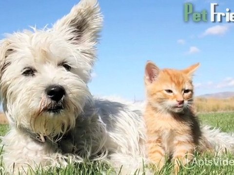 Cambridge Park Apartments in Sacramento, CA - ForRent.com