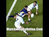 watch Rugby World Cup Romania vs Argentina streaming