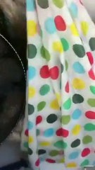 özgür kuzuya devam