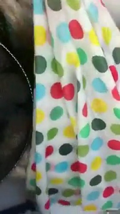 özgür kuzuya devam