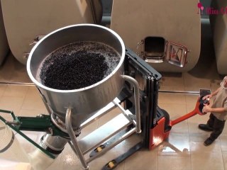 Mes vendanges à Cheval Blanc