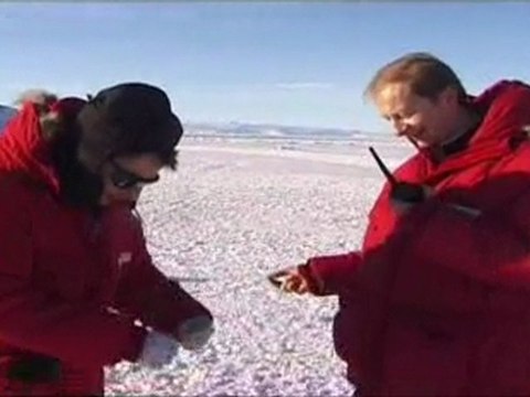 Métiers : responsable de la filière ballons