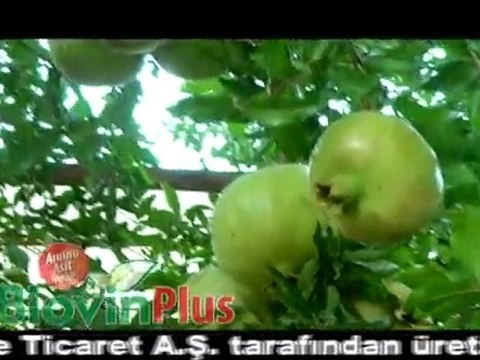 RECEP KONUK BİOVİN SIVI ORGANİK GÜBRE