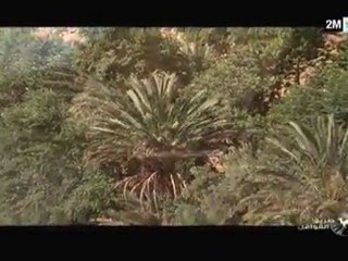 Les gorges du Dadès