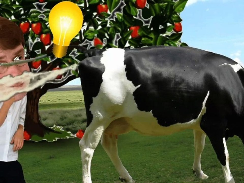 Animal Instincts : Episode 209 - Comedy Show Jay Hind!