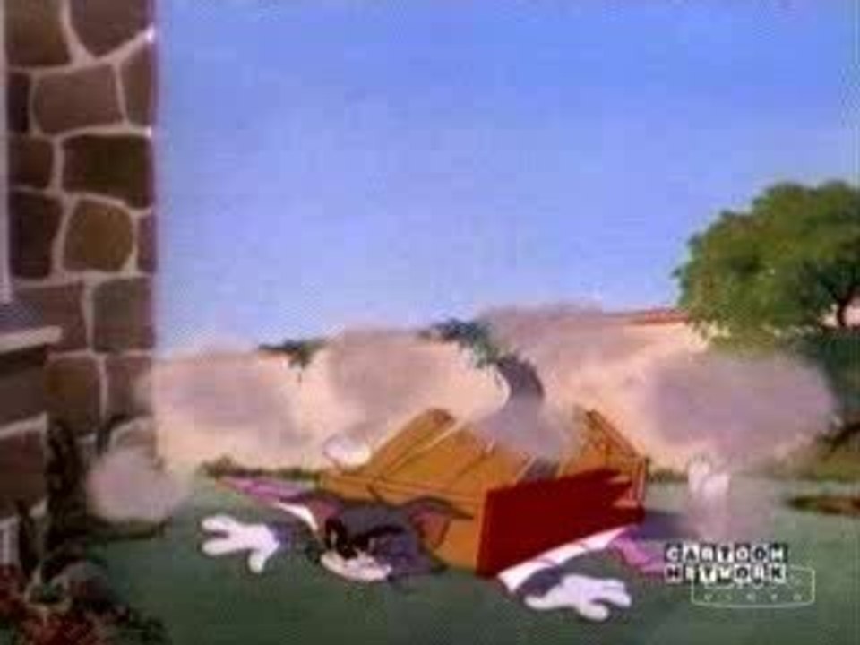 The Flying Cat Scene