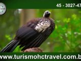 TurismoHCTravel (Cataratas)   cataratas do iguacu - iguacu falls