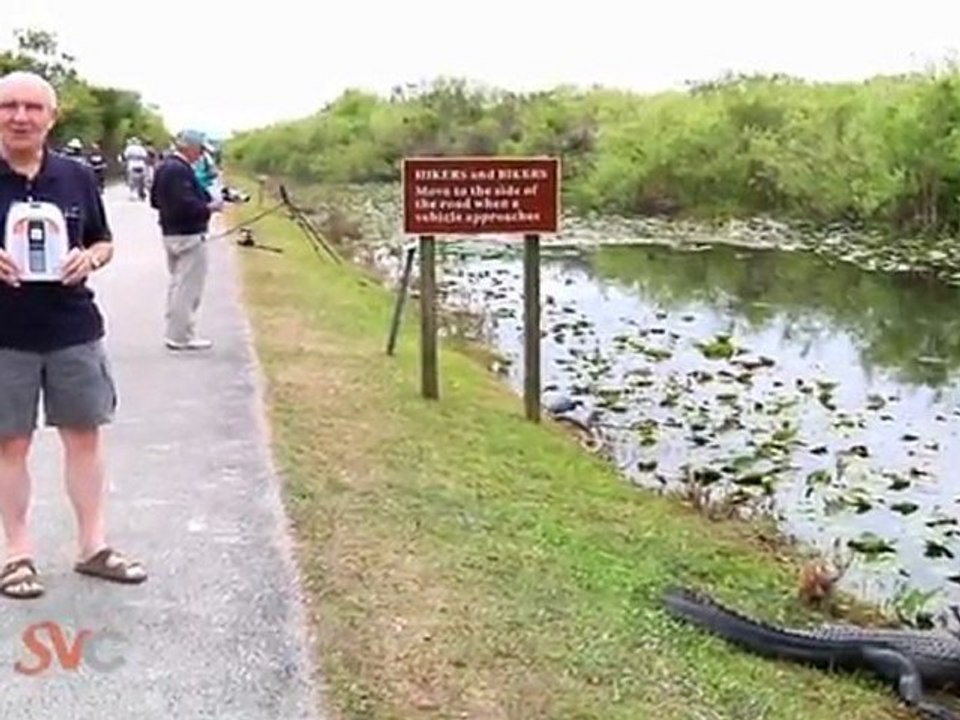 Senior Value Cellphone- Gator