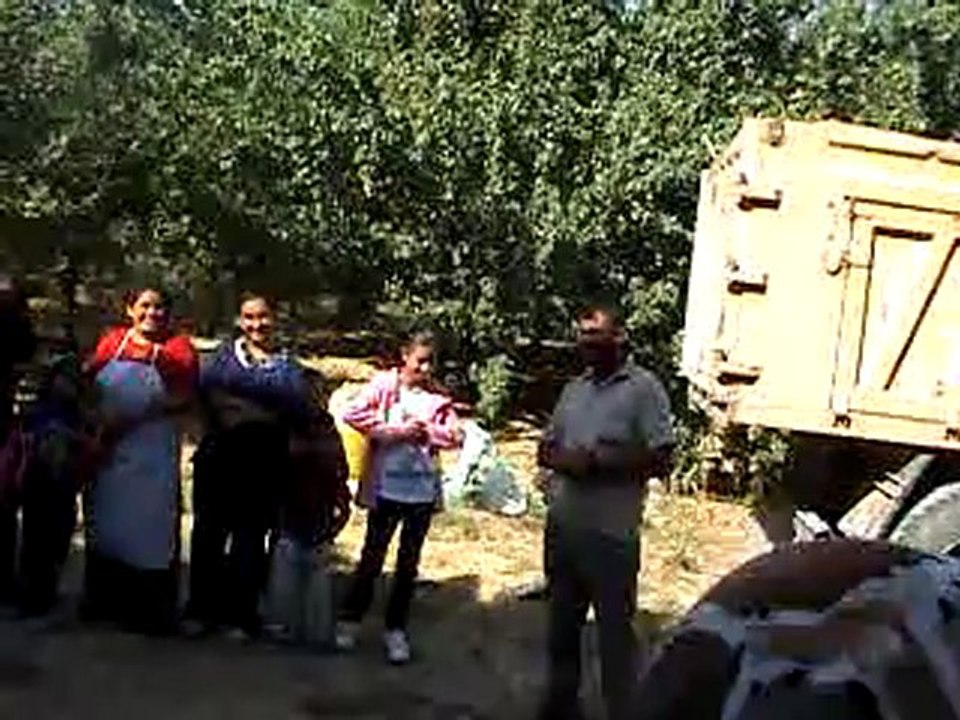 ereğli bekdik türkmenleri şölen için bulgur yapıyor