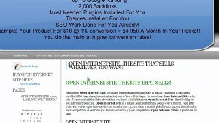 Open Internet Site For Sale | Turnkey Website For Sale